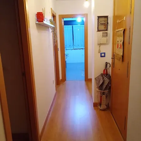 El Arroyu Vut 5585 As